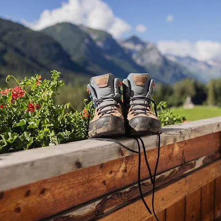 Alpen Hohe Burg 3*