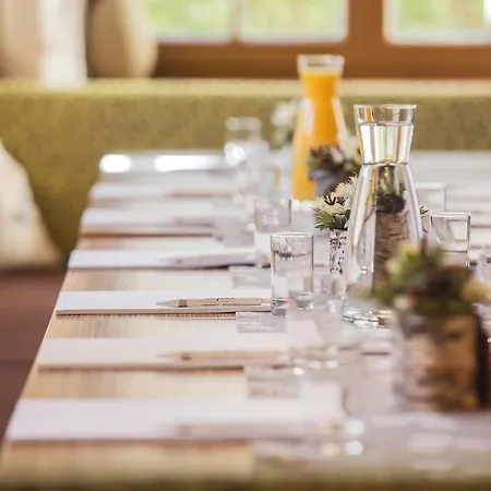 Alpen Hohe Burg Trins