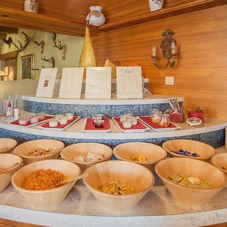 Alpen Hohe Burg Hotel Trins