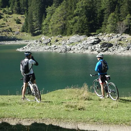 Alpen Hohe Burg 3* Trins