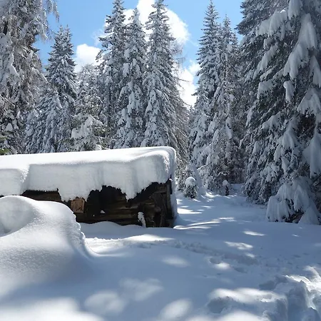 Alpen Hohe Burg 3* Trins