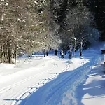 호텔 Alpen Hohe Burg