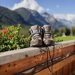 Alpen Hohe Burg 3*