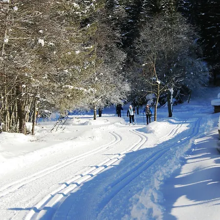Hotel Alpen Hohe Burg