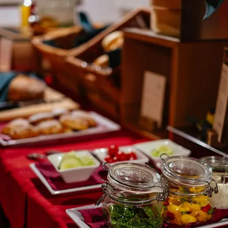 Alpen Hohe Burg Hotel Trins