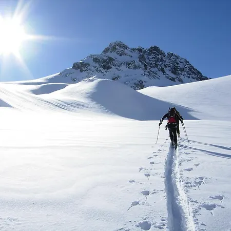 Alpen Hohe Burg Trins