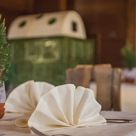 Hotel Alpen Hohe Burg