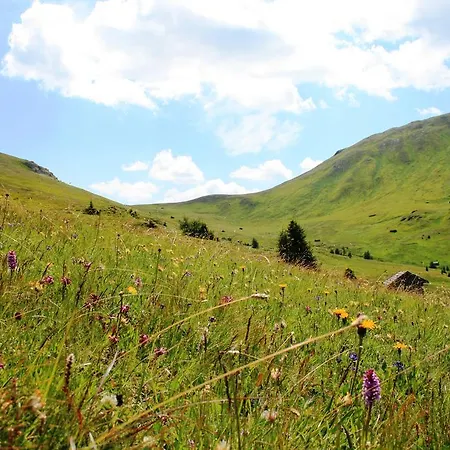 Hotel Alpen Hohe Burg Trins